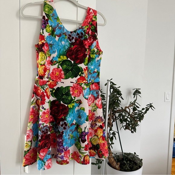 Peppermint Floral Sleeveless V-neck A-line Mini Dress - Picture 4 of 4